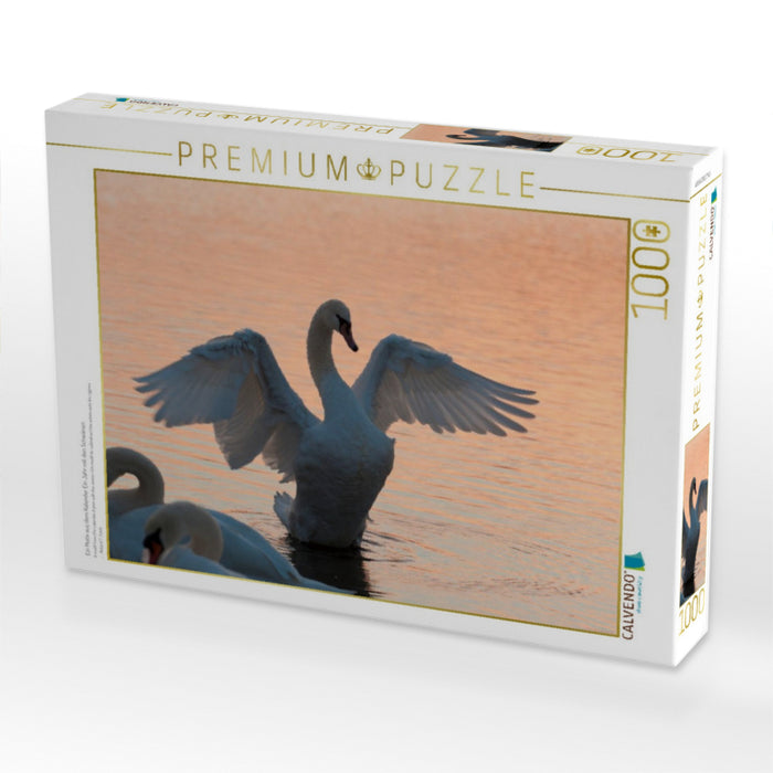 Ein Motiv aus dem Kalender Ein Jahr mit den Schwänen - CALVENDO Foto-Puzzle'