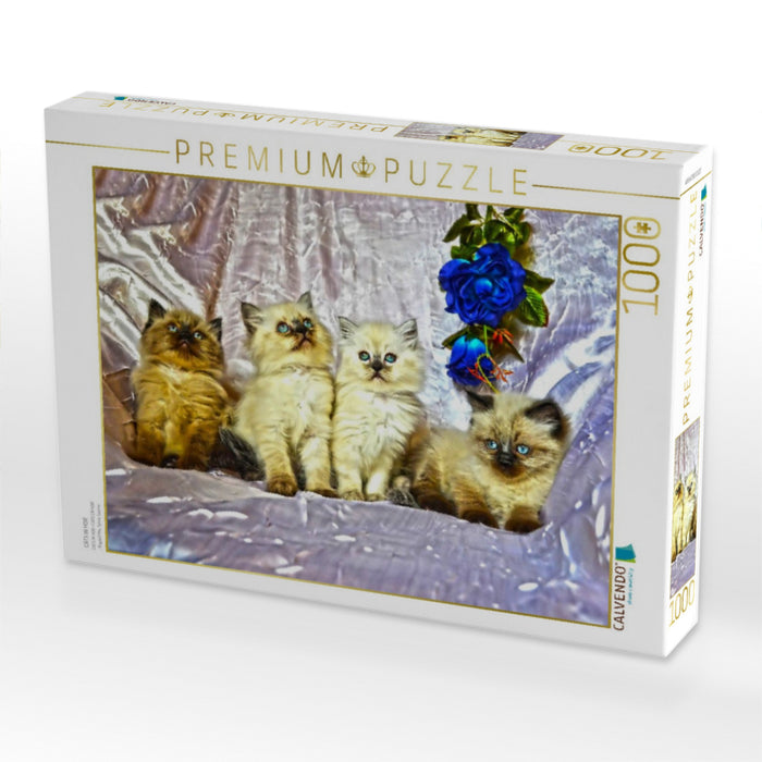 CATS IN HDR - CALVENDO Foto-Puzzle'