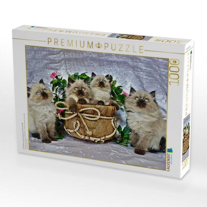 Ein Motiv aus dem Kalender CATS IN HDR - CALVENDO Foto-Puzzle'