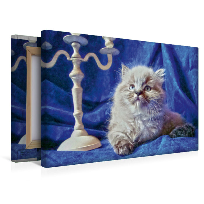Premium Textil-Leinwand Pascha