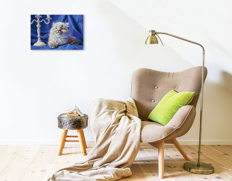 Premium Textil-Leinwand Pascha