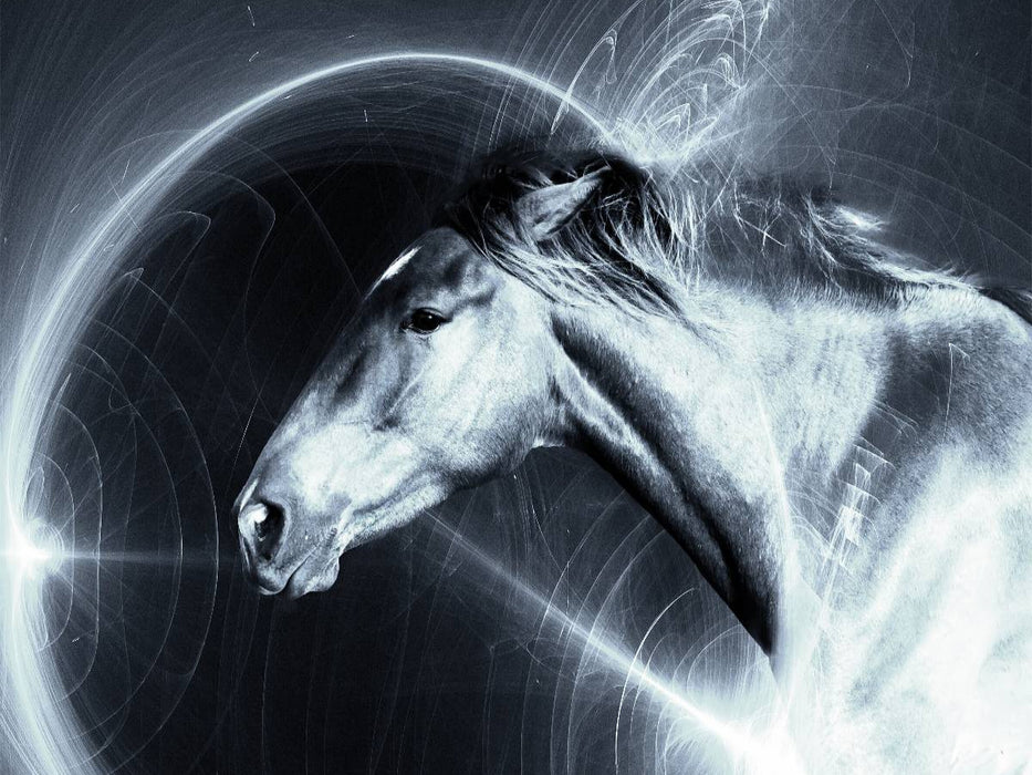 SpaceHorse - CALVENDO Foto-Puzzle'