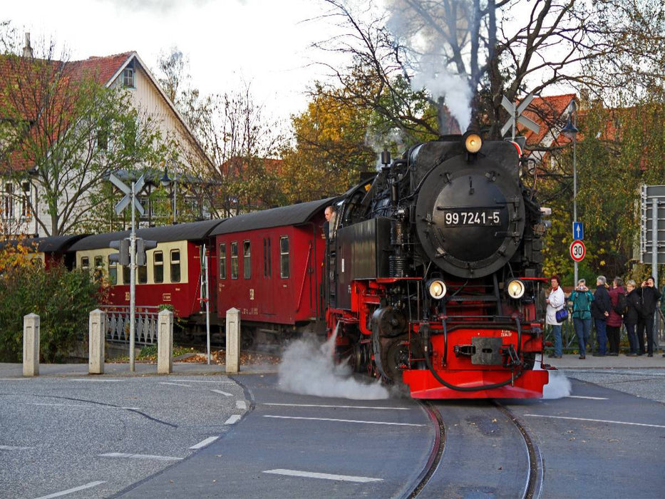 Mit der Schmalspurbahn auf den Harzer Brocken - CALVENDO Foto-Puzzle'