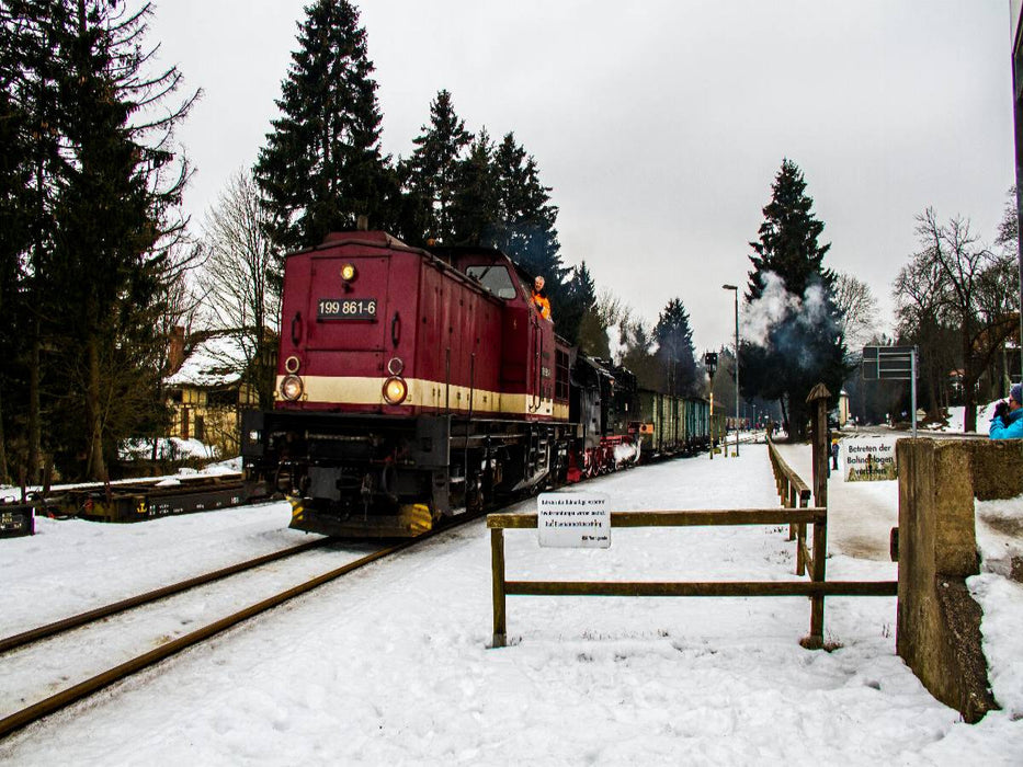 Das sogenannte Harzkamel im Bahnhof Drei-Annen-Hohne - CALVENDO Foto-Puzzle'