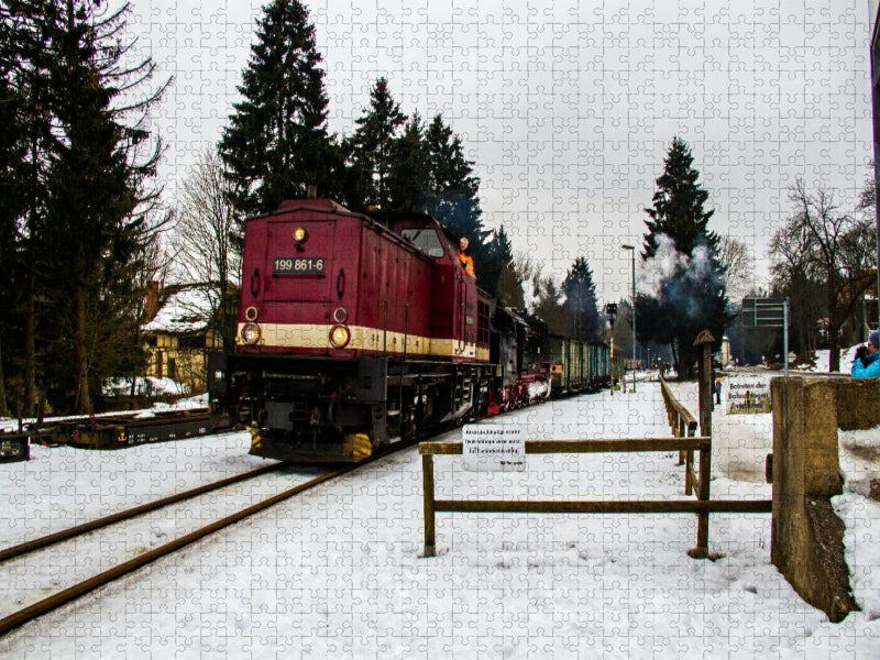 Das sogenannte Harzkamel im Bahnhof Drei-Annen-Hohne - CALVENDO Foto-Puzzle'
