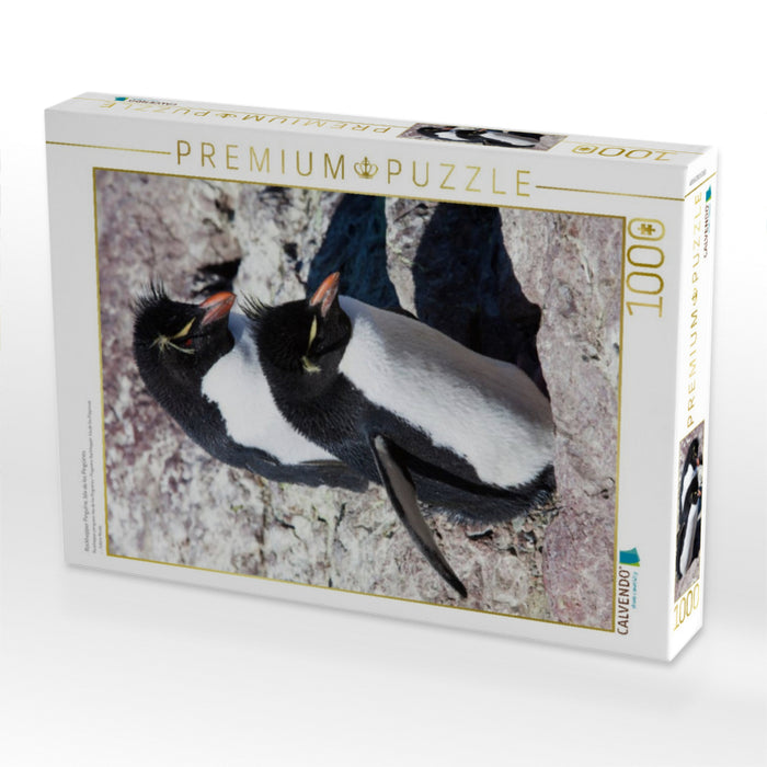 Rockhopper Pinguine, Isla de los Pingüinos - CALVENDO Foto-Puzzle'