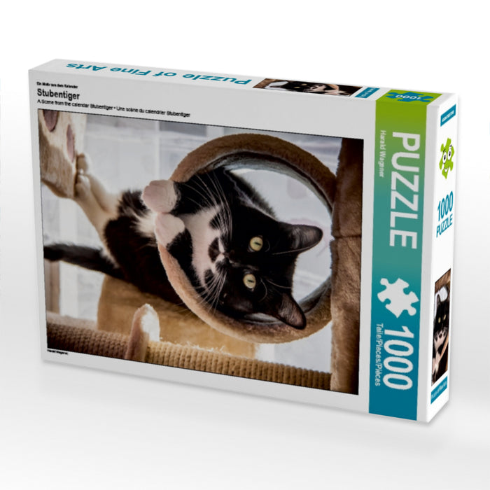 Ein Motiv aus dem Kalender Stubentiger 1000 Teile Puzzle hoch - CALVENDO Foto-Puzzle'