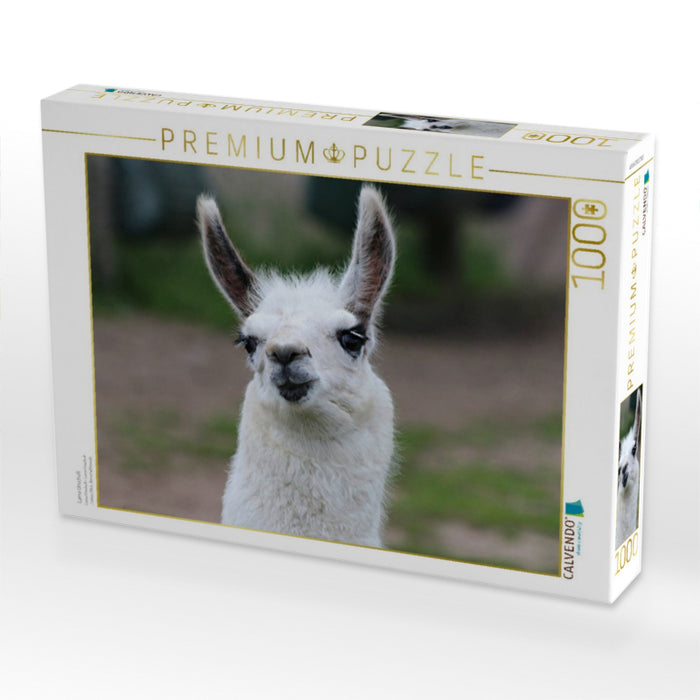 Lama Unschult - CALVENDO Foto-Puzzle'