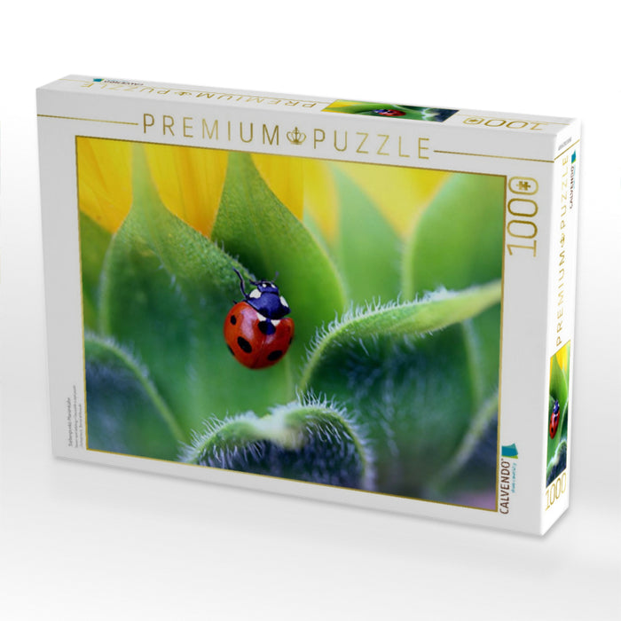 Coccinelle à sept points - Puzzle photo CALVENDO 