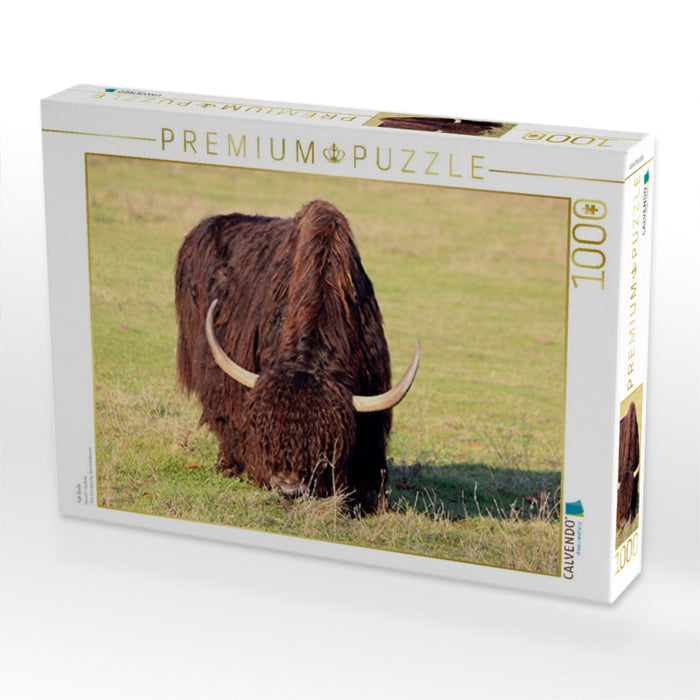 Taureau de yak - Puzzle photo CALVENDO 