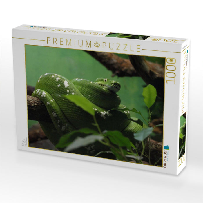 Schlange - CALVENDO Foto-Puzzle'