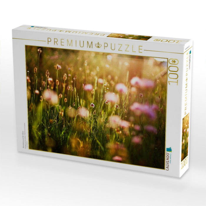 Abendsonne auf der Wiese - CALVENDO Foto-Puzzle'