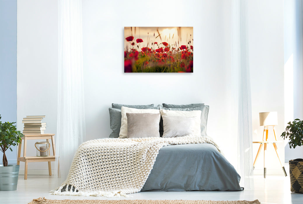 Premium textile canvas Premium textile canvas 120 cm x 80 cm landscape Poppies in the evening light 