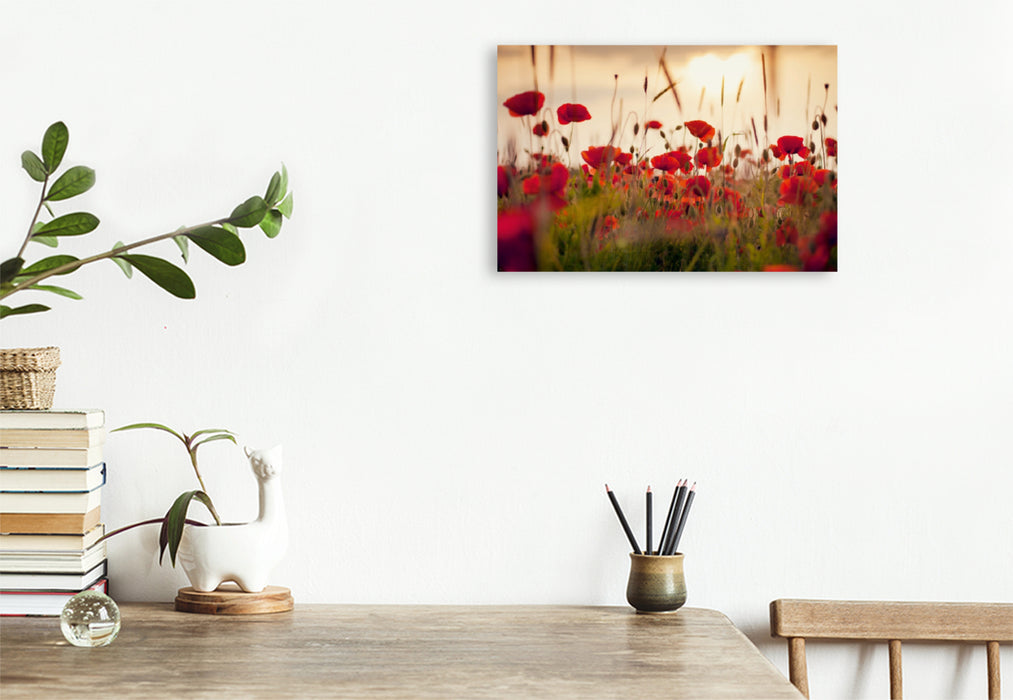 Premium textile canvas Premium textile canvas 120 cm x 80 cm landscape Poppies in the evening light 