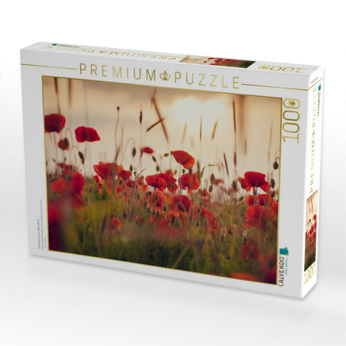 Mohnblumen im Abendlicht - CALVENDO Foto-Puzzle'
