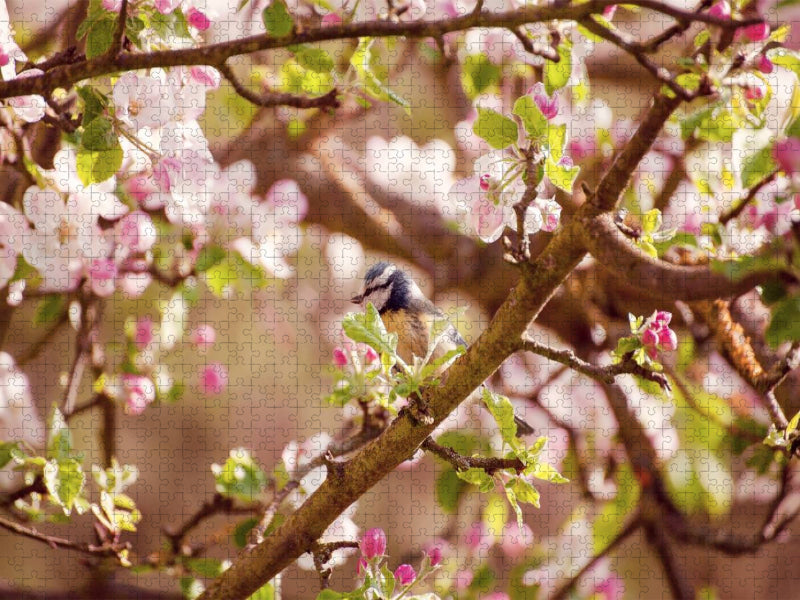 Blaumeise im Frühling - CALVENDO Foto-Puzzle'