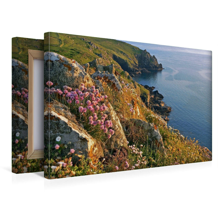 Premium Textil-Leinwand Blumenküste Mullion, Cornwall