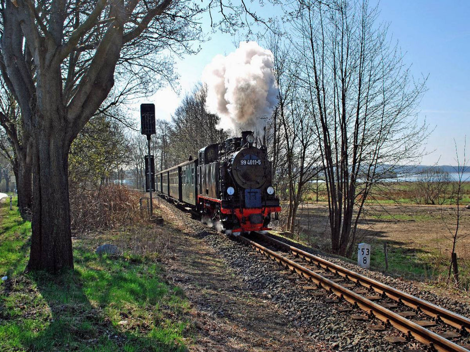 Inselbahn " Rasender Roland" - CALVENDO Foto-Puzzle'