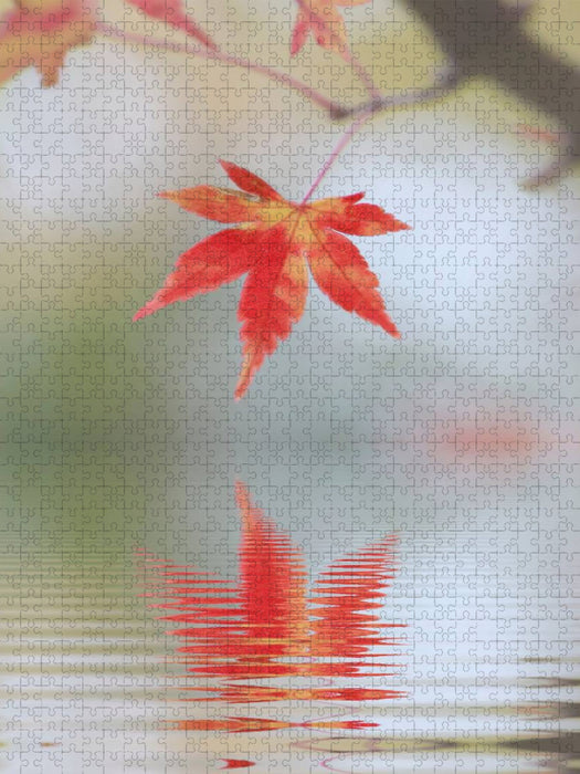 herbstliches Ahornblatt mit Spiegelung - CALVENDO Foto-Puzzle'