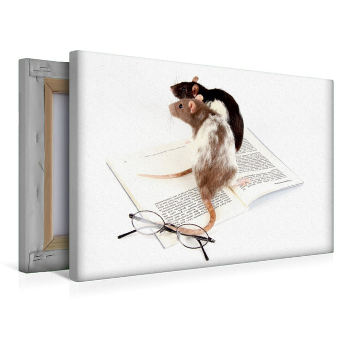 Premium Textil-Leinwand Leseratten