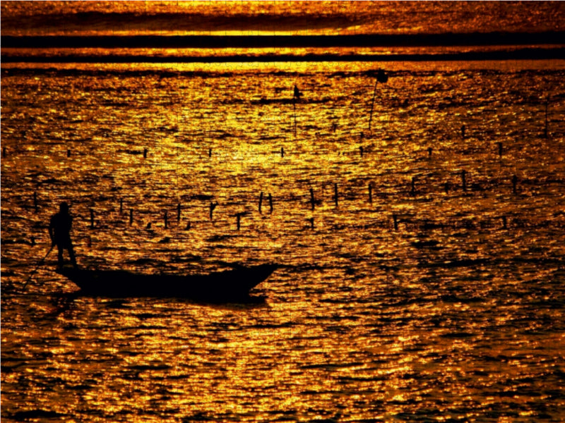 Mann mit Boot bei der Algenernte, Bali 1000 Teile Puzzle quer - CALVENDO Foto-Puzzle'