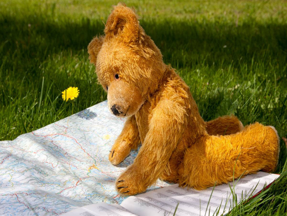 Urlaubsplanung - CALVENDO Foto-Puzzle'