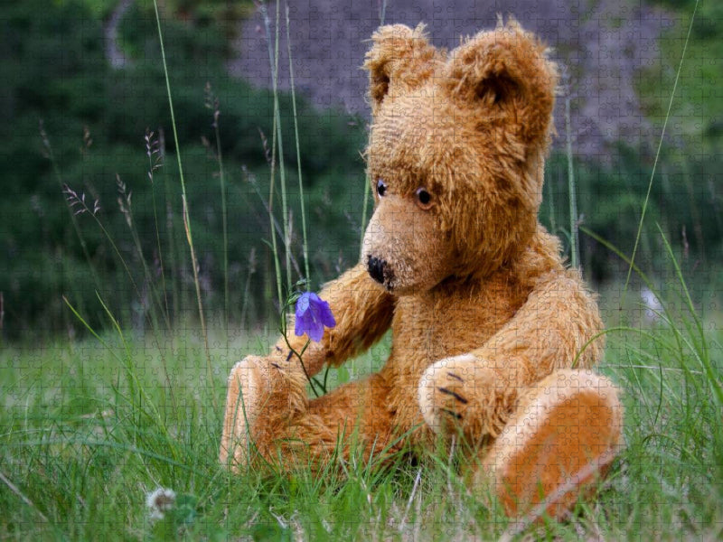 Ein Blümchen - CALVENDO Foto-Puzzle'