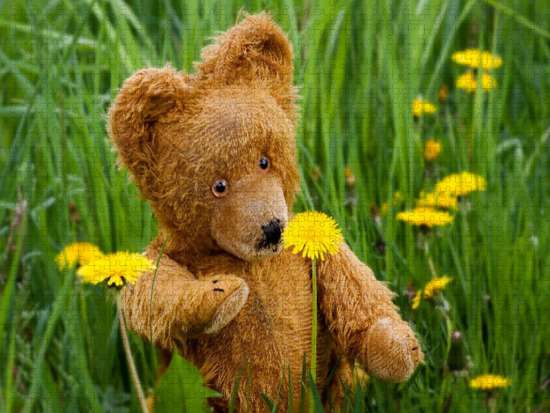 Die ersten Blumen - CALVENDO Foto-Puzzle'