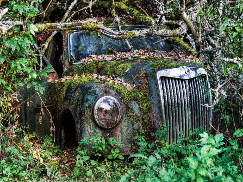 Zugewachsen - CALVENDO Foto-Puzzle'