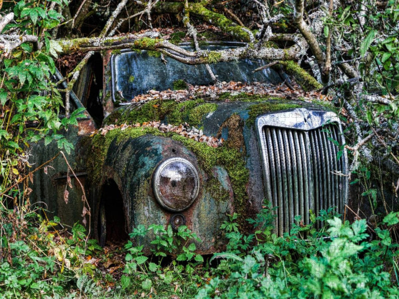 Zugewachsen - CALVENDO Foto-Puzzle'