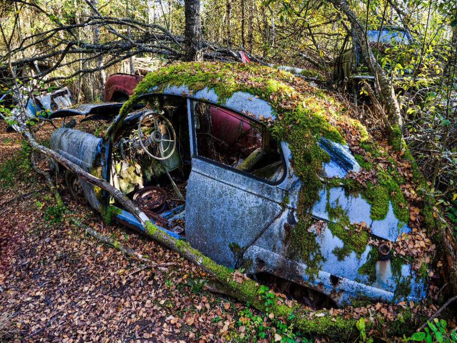 Der Blaue - CALVENDO Foto-Puzzle'