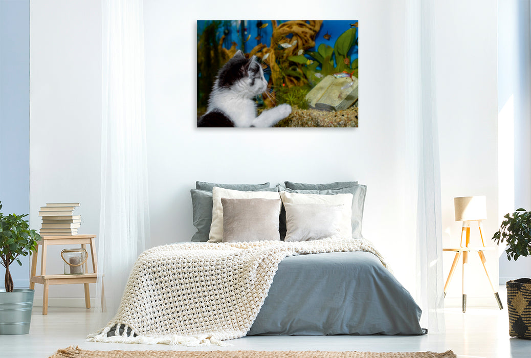 Premium Textil-Leinwand Premium Textil-Leinwand 120 cm x 80 cm quer Katze Hope und die Fische