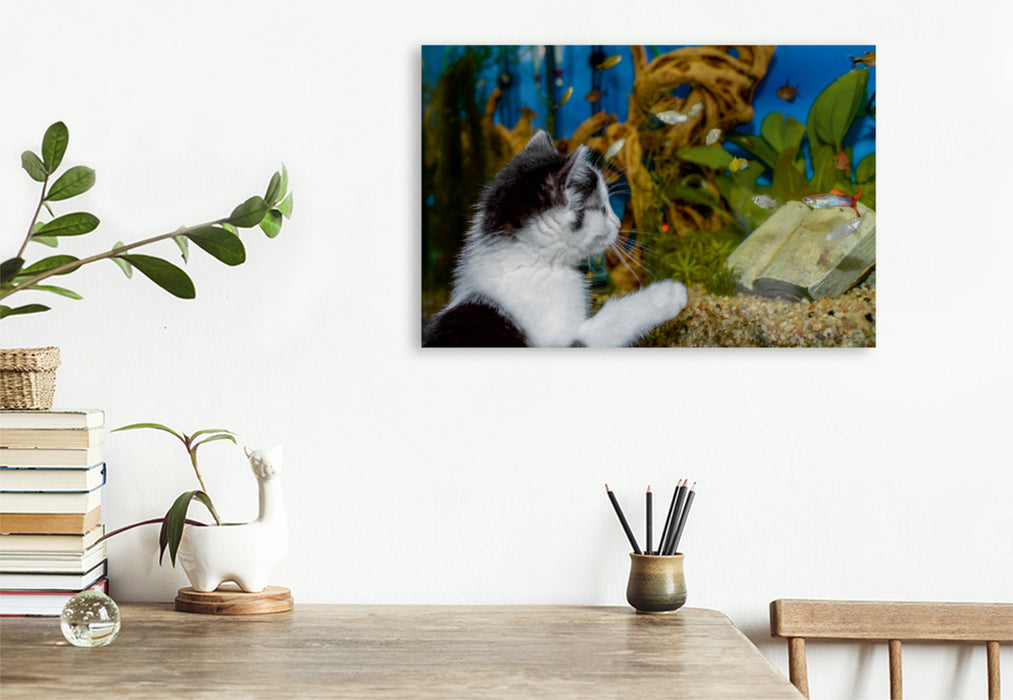 Premium Textil-Leinwand Premium Textil-Leinwand 120 cm x 80 cm quer Katze Hope und die Fische