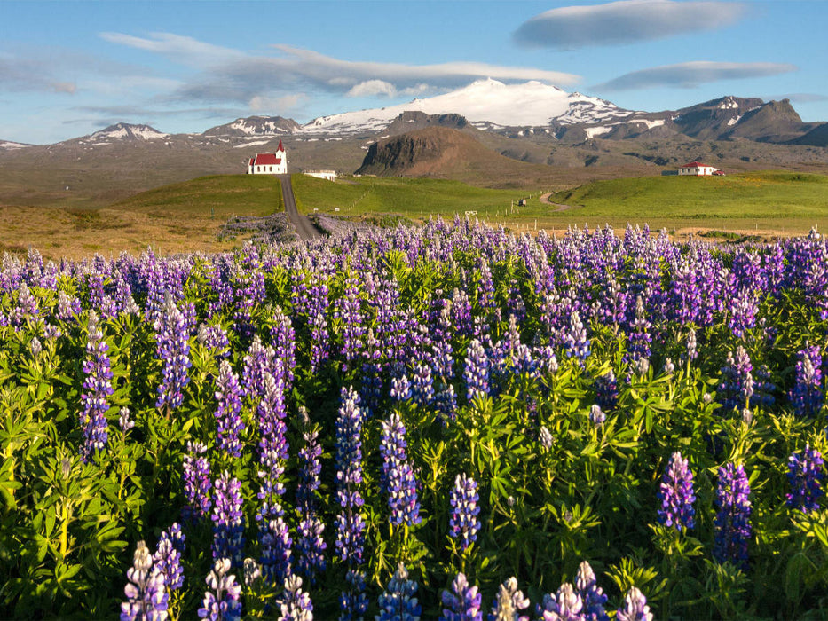 Ingjaldshólskirkja - CALVENDO Foto-Puzzle'