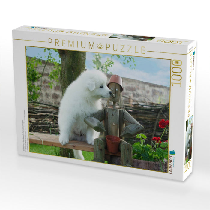 Ein Motiv aus dem Kalender Samojeden Welpen - CALVENDO Foto-Puzzle'