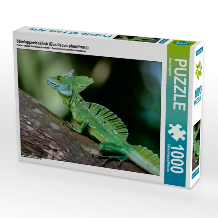 Stirnlappenbasilisk (Basiliscus plumifrons) 1000 Teile Puzzle quer - CALVENDO Foto-Puzzle'
