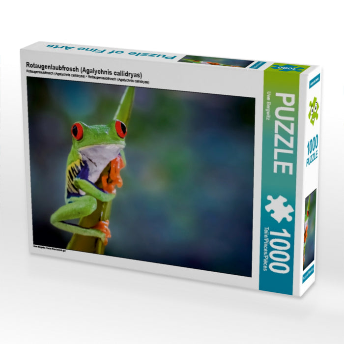 Rotaugenlaubfrosch (Agalychnis callidryas) 1000 Teile Puzzle quer - CALVENDO Foto-Puzzle'