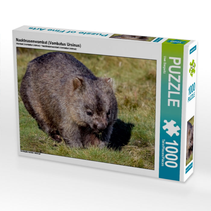 Nacktnasenwombat (Vombatus Ursinus) 1000 Teile Puzzle quer - CALVENDO Foto-Puzzle'