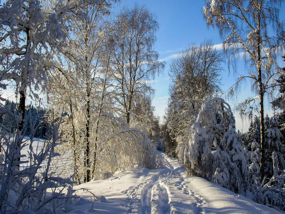 Winter im Erzgebirge - CALVENDO Foto-Puzzle'