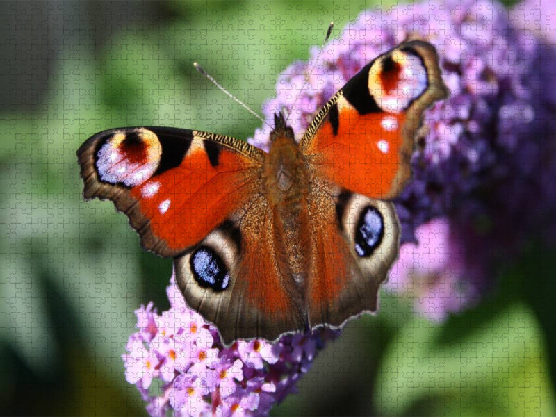 Unter vier Augen - CALVENDO Foto-Puzzle'