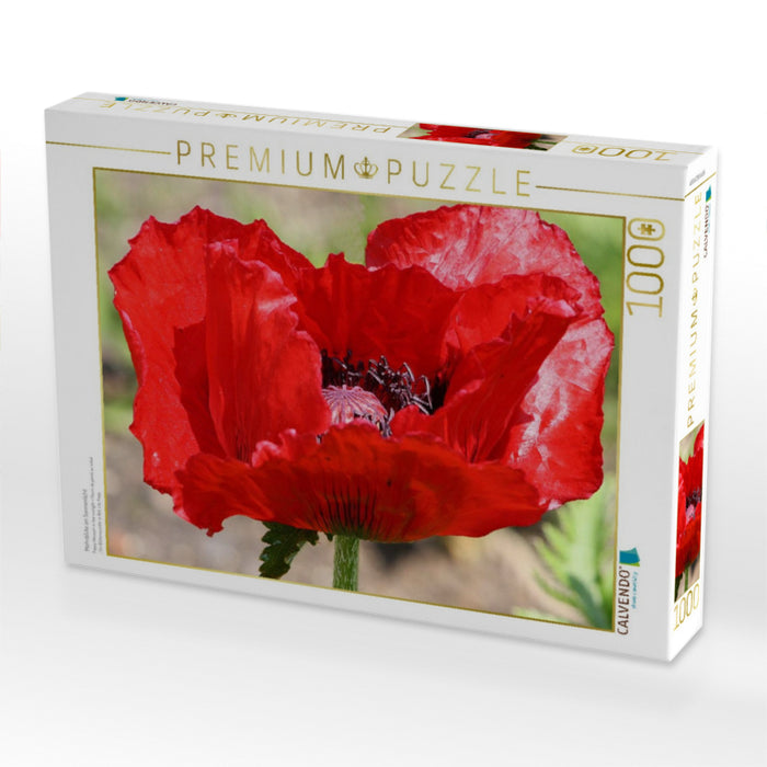 Mohnblüte im Sonnenlicht - CALVENDO Foto-Puzzle'