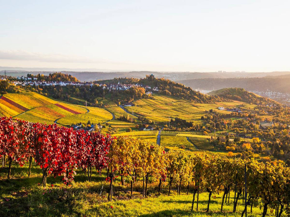 Rotenberg mit der Grabkapelle auf dem Württemberg - CALVENDO Foto-Puzzle'