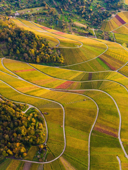 Weinberge zwischen Kappelberg und Rotenberg - CALVENDO Foto-Puzzle'