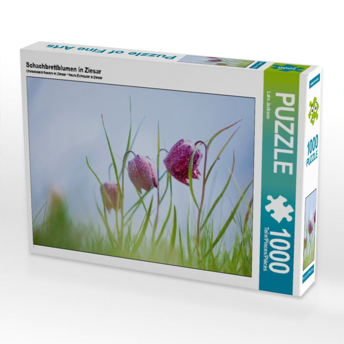 Schachbrettblumen in Ziesar 1000 Teile Puzzle quer - CALVENDO Foto-Puzzle'