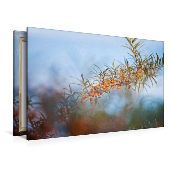 Premium Textil-Leinwand Sanddorn