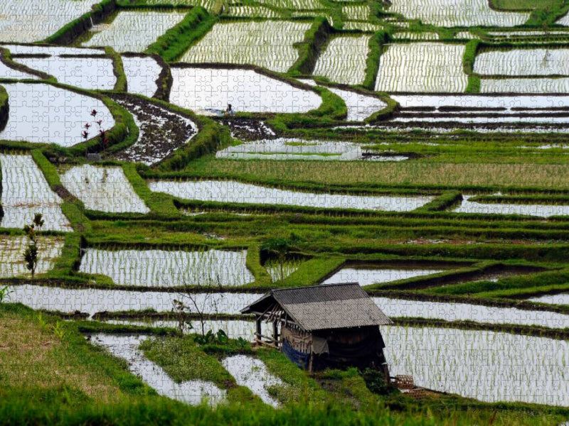 Jatiluwih Reisfelder - CALVENDO Foto-Puzzle'