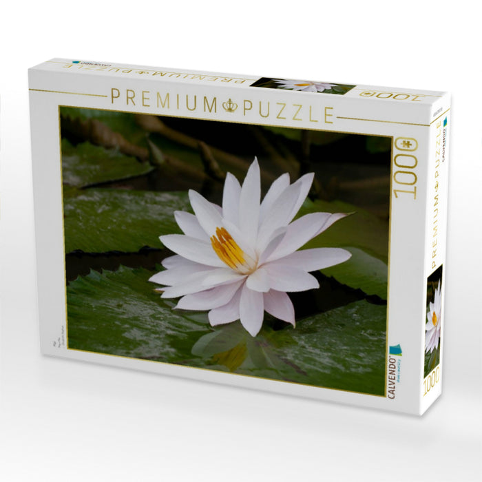 Mai - CALVENDO Foto-Puzzle'
