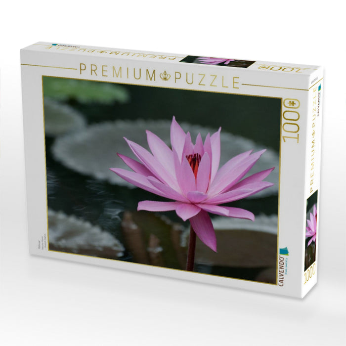 Februar - CALVENDO Foto-Puzzle'