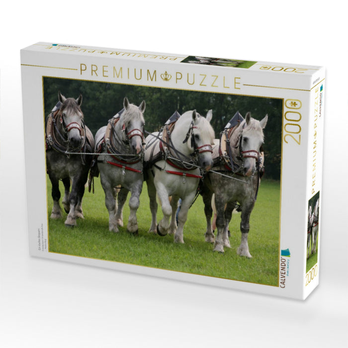 Ein starkes Gespann - CALVENDO Foto-Puzzle'