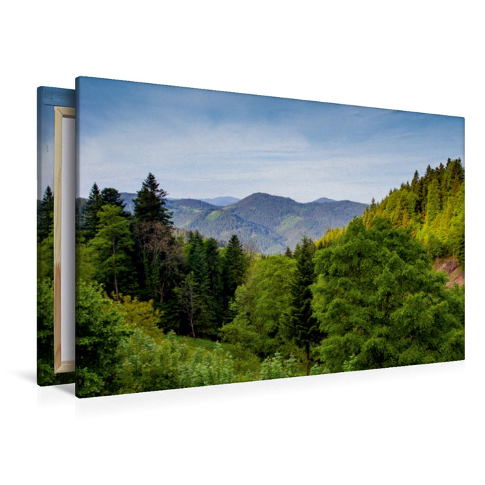 Premium Textil-Leinwand Schwarzwald-Panorama
